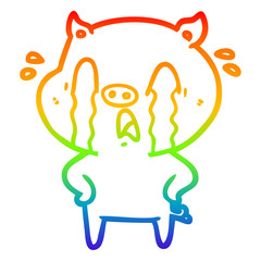 rainbow gradient line drawing crying pig cartoon