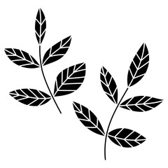 Leaf, leaves, herbs. Decoration for greeting card, scrapbooking and design. Illustration isolated on white background.