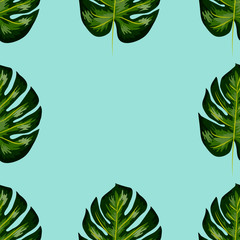 Seamless pattern of leaves monstera. Tropical leaves of palm tree.