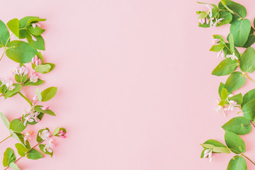 Flat lay composition with branches and green leaves on a pink background