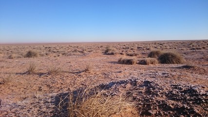 Paysage steppique - Aflou