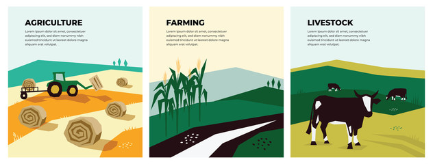 Fototapeta premium Set of vectors with agriculture, farming and livestock. Illustrations of a tractor, hayfield, haystack rolls, farm animals, cows in pasture, cornfield. Template for banner,poster,flyer, prints, books.