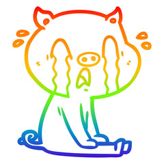 rainbow gradient line drawing crying pig cartoon
