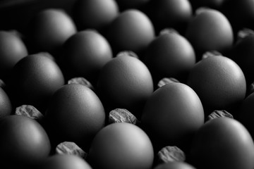 Primer plano de huevos - Cartón de huevos - Fotografía blanco y negro