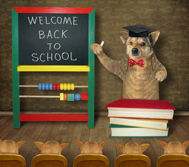 The dog teacher in a square academic cap and red bow tie teaches its students near the blackboard in the classroom. Welcome back to school.