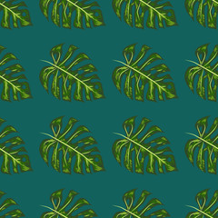 Monstera, green beautiful detailed leaves assembled into a seamless pattern.