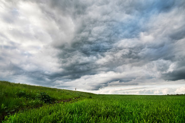 Green wheat field with low clouds and dramatic clouds after sunset. Rich contrast