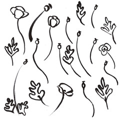 Hand Drawn Floral Doole Set