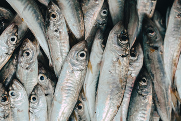 Fresh organic fish on ice on the market on dark vintage background  close-up.