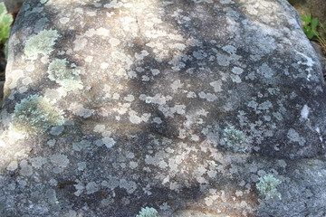 abstract stone background
