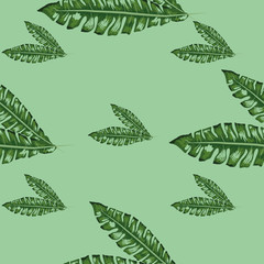 palm frond. Tropical leaves seamless pattern. Banana leaf background.