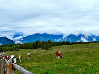 Fototapeta na wymiar Italian Alps-view on the mountain plateau Rodengo