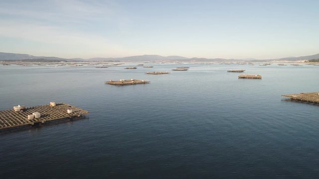 Aerial: Endless oyster beds in the Atlantic ocean Shellfish farming near a small town in Spain