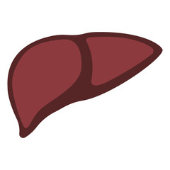 Liver icon in trendy flat style isolated on white background. Symbol for your web site design, logo, app, UI. Vector illustration, EPS