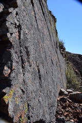 Near the Uybat river.Khakassia.