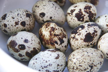 quail eggs in the bowl