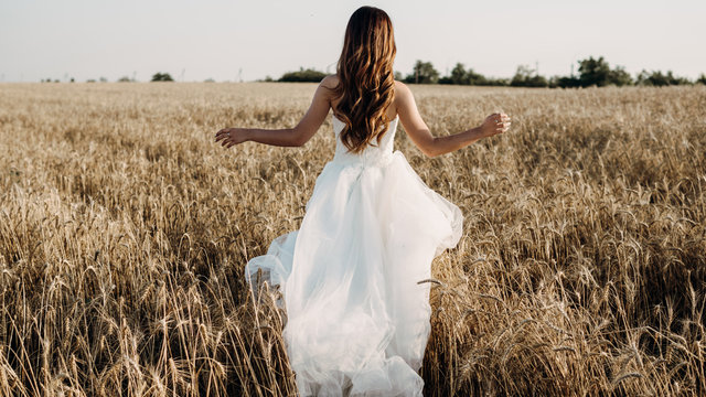 Beautiful bride in wheat field on sunset