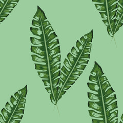 palm frond. Tropical leaves seamless pattern. Banana leaf background.