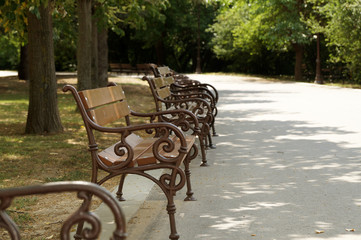 many empty benches in a summer park 