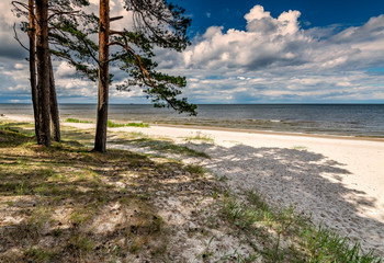 Fototapeta na wymiar Sandy beach of the Baltic Sea in a public nature reserve park of Latvia, Europe. Summer bliss holiday, happy vacation and travel concept