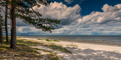 Sandy beach of the Baltic Sea in a public nature reserve park of Latvia, Europe. Summer bliss holiday, happy vacation and travel concept