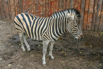 Kharkiv state zoological park