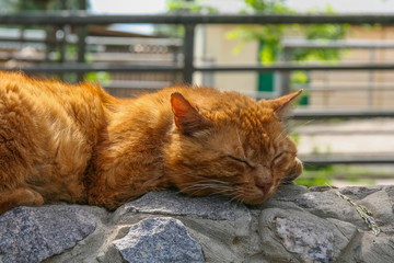 Kharkiv state zoological park