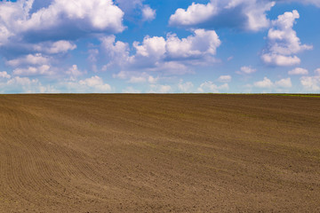Black field and blue cloudy sky