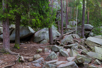 Forest mountain  landscape. Dovbush Rocks. Ukrainian Carpathians