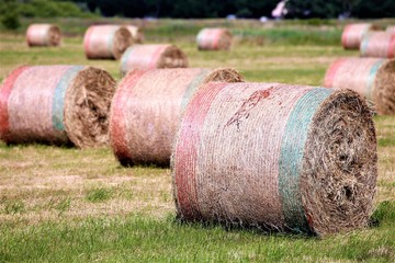 bales of hay