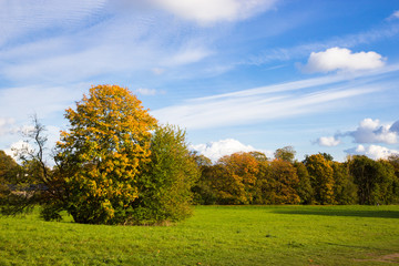 sunny autumn days in park of Copenhagen Area
