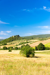 Sunny springtime tuscan country view near Massa Marittima , Italy
