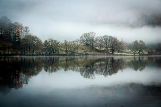 Trees reflected in water surface, fog, Rydal Water, Ambleside, Lake District National Park, Central England, Great Britain