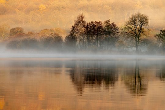 Trees reflected in water surface with fog, morning mood, Rydal Water, Ambleside, Lake District National Park, Central England, Great Britain