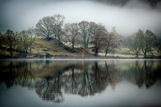 Trees reflected in water surface, fog, Rydal Water, Ambleside, Lake District National Park, Central England, Great Britain