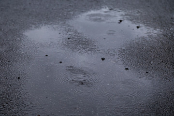 Ripples in puddles on the asphalt on a gray and rainy day. Tilted angle, focused on the foreground.