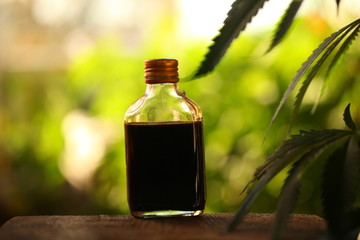 Medical marijuana cannabis cbd oil