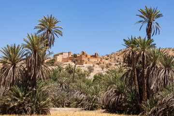 Die Kasbah von Tiout zwischen Palmen