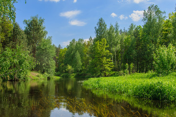 Fototapeta na wymiar summer landscape beautiful day on picturesque river in Ukraine and along the coast