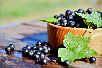 Harvest, ripe black currants, in a wooden bowl, in the garden on a sunny summer day, on old wooden boards.