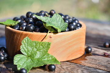 Harvest, ripe black currants, in a wooden bowl, in the garden on a sunny summer day, on old wooden boards.