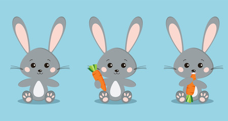Set of isolated cute grey rabbits in sitting pose with carrot in paw, eating carrot.