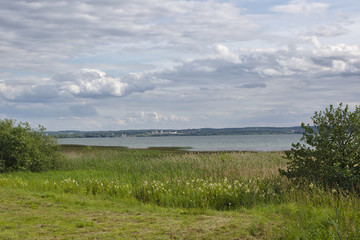 summer landscape in Central Russia