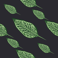 seamless pattern of tropical plants. Repeat tropical backdrop with dieffenbachia branches. Exotic jungle wallpaper