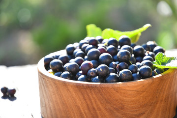 Harvest, ripe black currants, in a wooden bowl, in the garden on a sunny summer day, on old wooden boards.