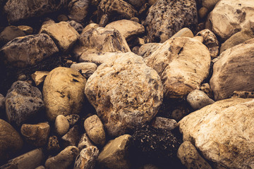 Beach Rocks