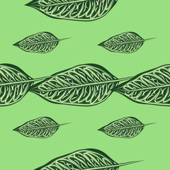 seamless pattern of tropical plants. Repeat tropical backdrop with dieffenbachia branches. Exotic jungle wallpaper