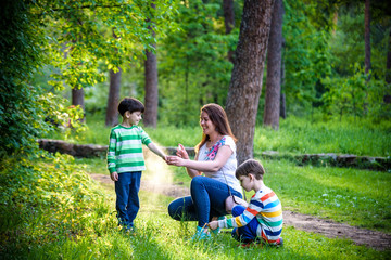 Young woman mother applying insect repellent to her two son before forest hike beautiful summer day...