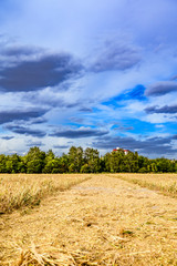 Obraz premium Path through a harvested field to a satellite city in Berlin-Marienfelde illuminated by the sun and under a dramatic cloudy sky.