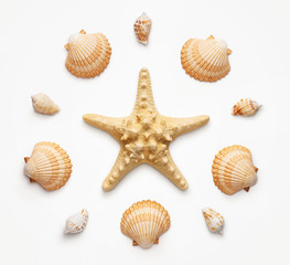 Fototapeta na wymiar High angle view of seashells and starfish isolated on light grat background